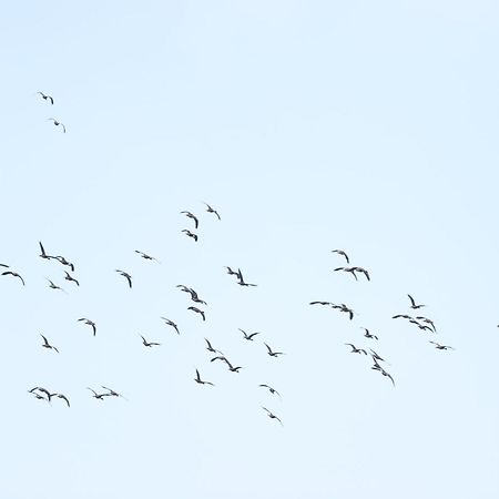 Hotel Three Little Birds Tangalle Esterno foto