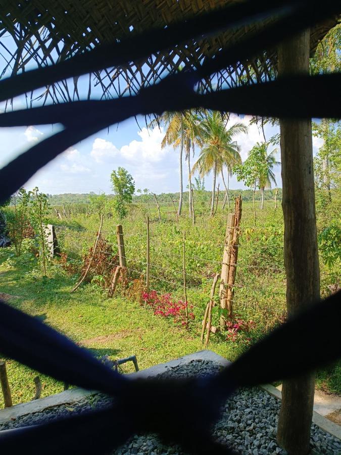 Hotel Three Little Birds Tangalle Esterno foto