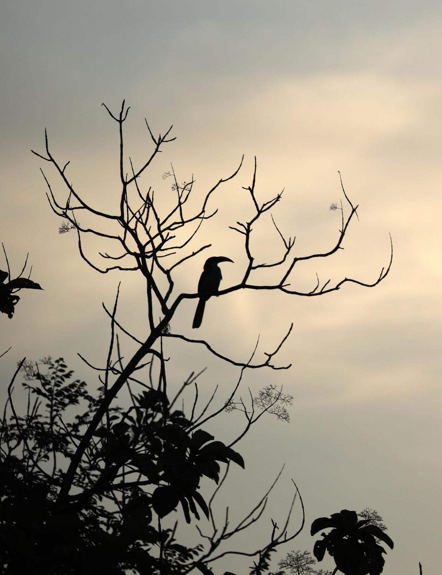 Hotel Three Little Birds Tangalle Esterno foto